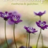 Een blijde boodschap eBook