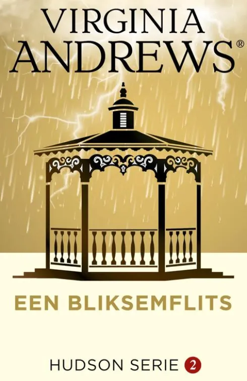 Een bliksemflits eBook