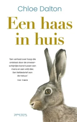 Een haas in huis eBook