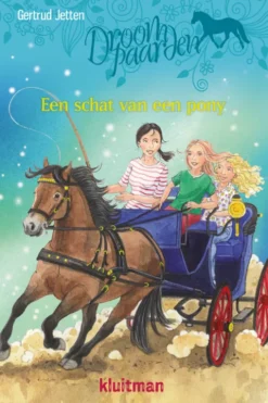 Een schat van een pony eBook