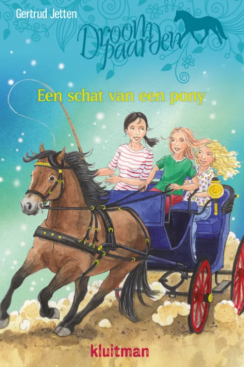 Een schat van een pony eBook