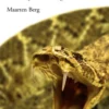 Een studie over de slechtheid van de staat eBook