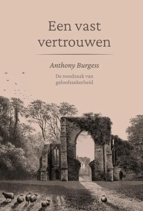 Een vast vertrouwen eBook