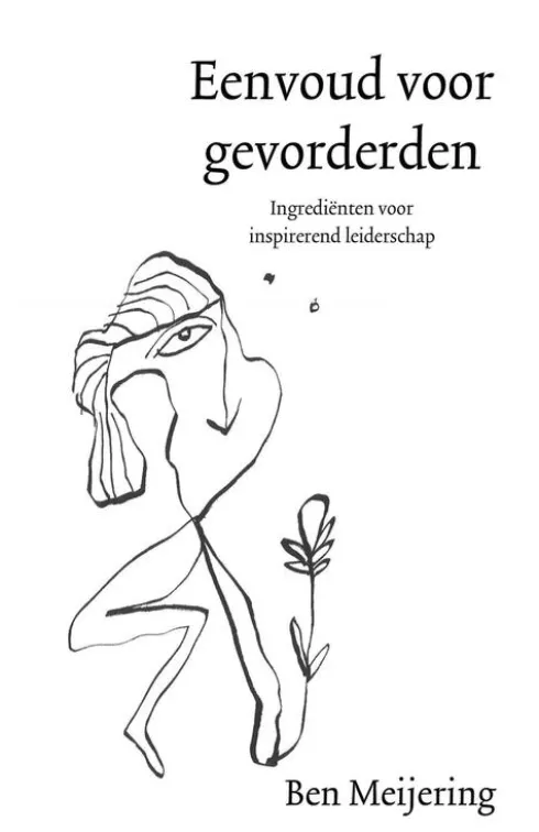 Eenvoud voor gevorderden eBook