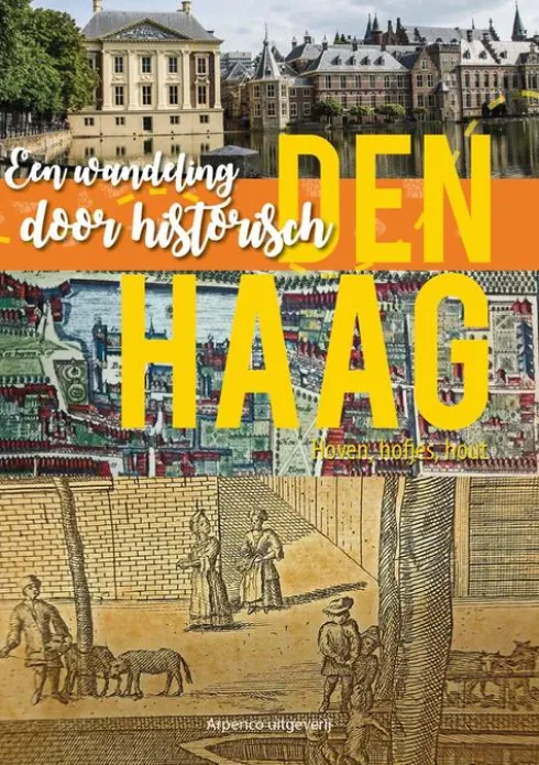 Een wandeling door historisch Den Haag eBook
