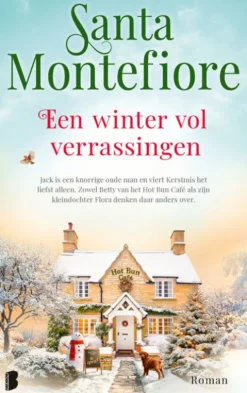 Een winter vol verrassingen eBook