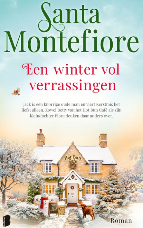 Een winter vol verrassingen eBook