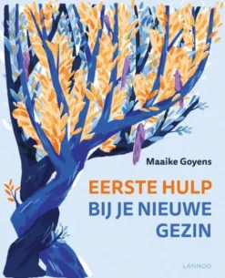 Eerste hulp bij je nieuwe gezin eBook