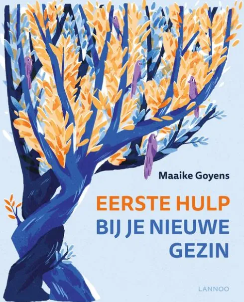 Eerste hulp bij je nieuwe gezin eBook