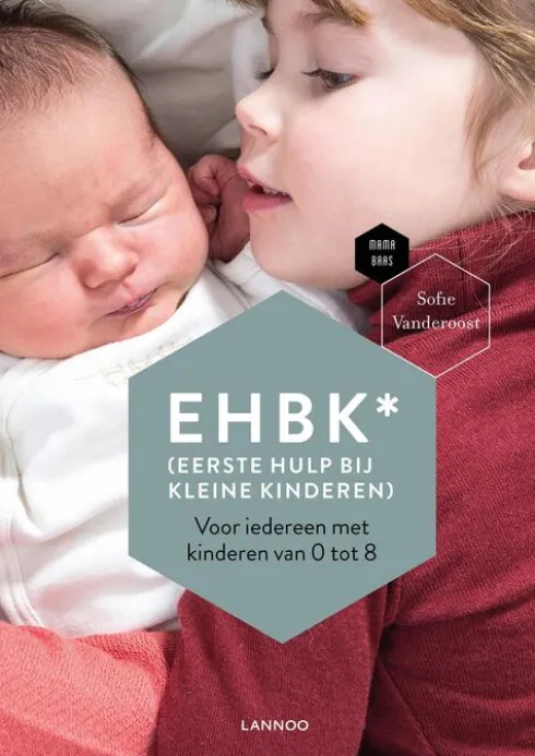 EHBK* (Eerste Hulp Bij Kleine Kinderen) eBook