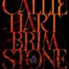 Fae & Alchemie 2 - Brimstone eBook