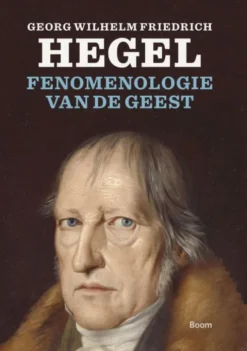Fenomenologie van de geest eBook