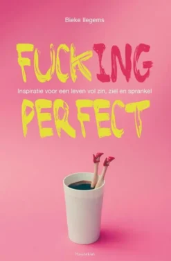 Fuck(ing) perfect eBook
