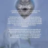 Gallica 2 - De Stem van de Nevels eBook