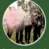 Geen mens is een eiland eBook