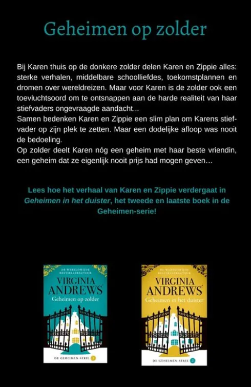Geheimen op zolder eBook