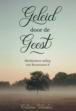 Geleid door de Geest eBook