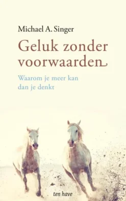 Geluk zonder voorwaarden eBook