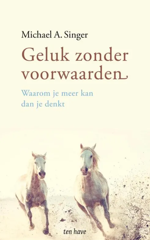 Geluk zonder voorwaarden eBook