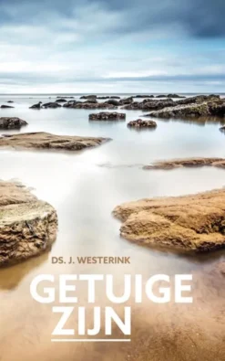 Getuige zijn eBook