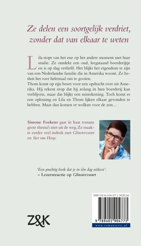 Gevonden droom eBook
