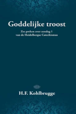 Goddelijke troost eBook