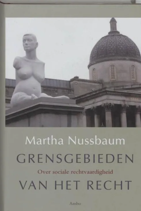 Grensgebieden van het recht eBook