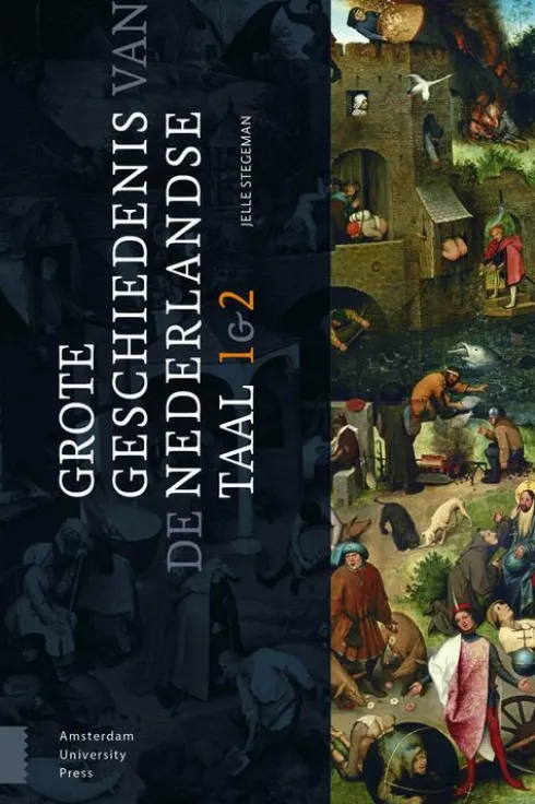 Grote geschiedenis van de Nederlandse taal eBook