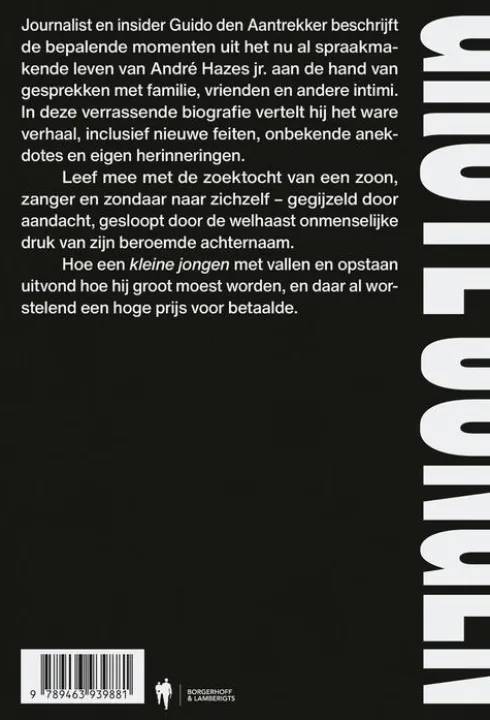 Grote jongen eBook