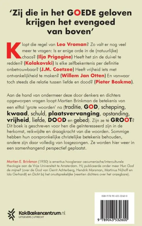 Grote woorden eBook