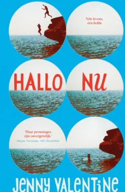 Hallo Nu eBook