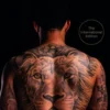 Heart of a lion eBook