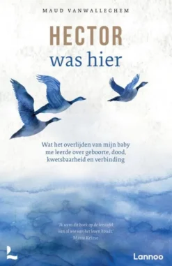Hector was hier eBook