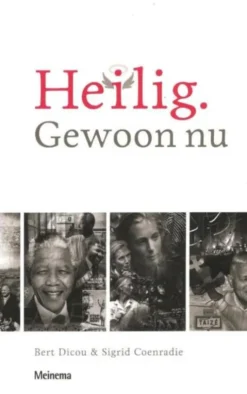 Heilig. Gewoon nu eBook