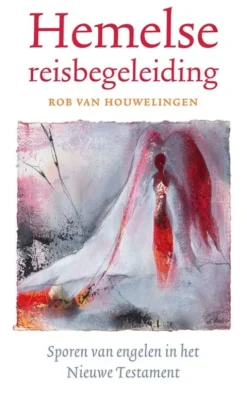Hemelse reisbegeleiding eBook