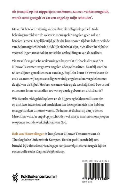 Hemelse reisbegeleiding eBook