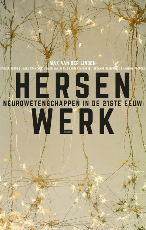 Hersenwerk eBook