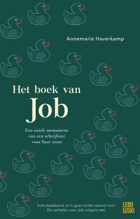 Het boek van Job eBook