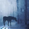 Het geheim van Winterplas eBook