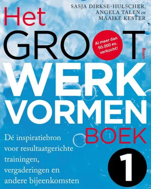 Het groot werkvormenboek eBook
