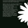 Het grote misschien eBook