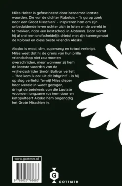 Het grote misschien eBook