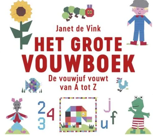 Het grote vouwboek eBook