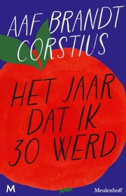 Het jaar dat ik 30 werd eBook