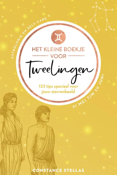 Het kleine boekje voor Tweelingen eBook