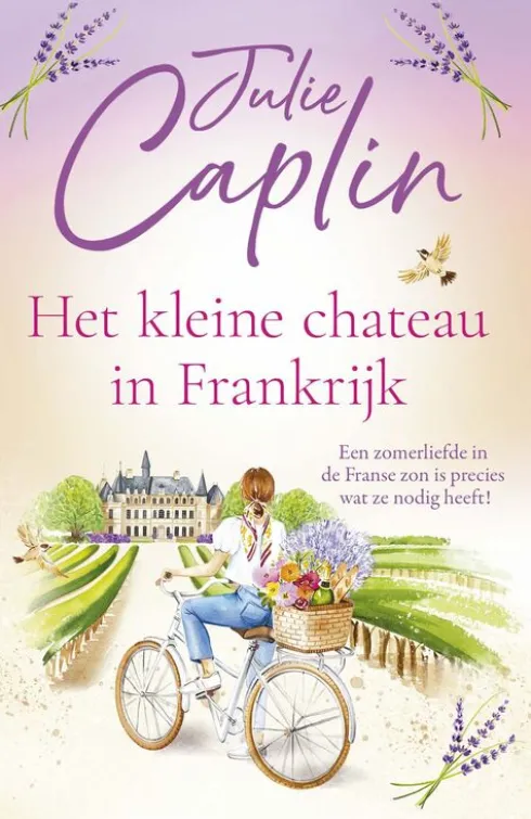 Het kleine chateau in Frankrijk eBook