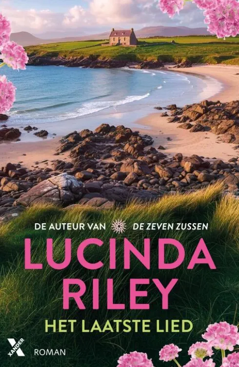 Het laatste lied eBook