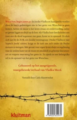 Het meisje aan de andere kant van de muur eBook