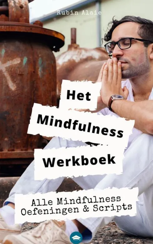 Het mindfulness werkboek eBook
