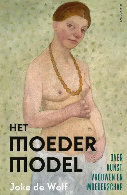 Het moedermodel eBook